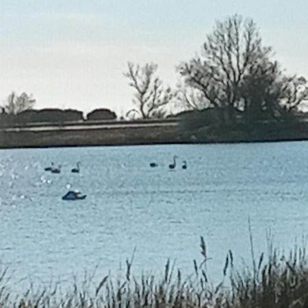 Aigues Mortes Studio De Vacances En Camargue Екстер'єр фото