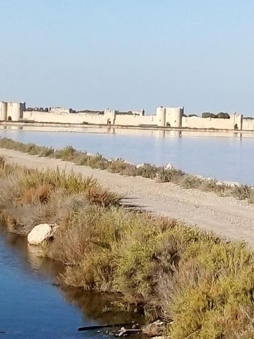Aigues Mortes Studio De Vacances En Camargue Екстер'єр фото