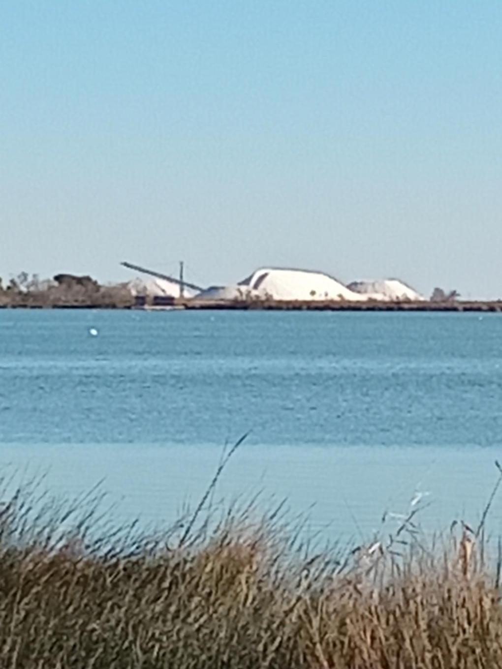 Aigues Mortes Studio De Vacances En Camargue Екстер'єр фото