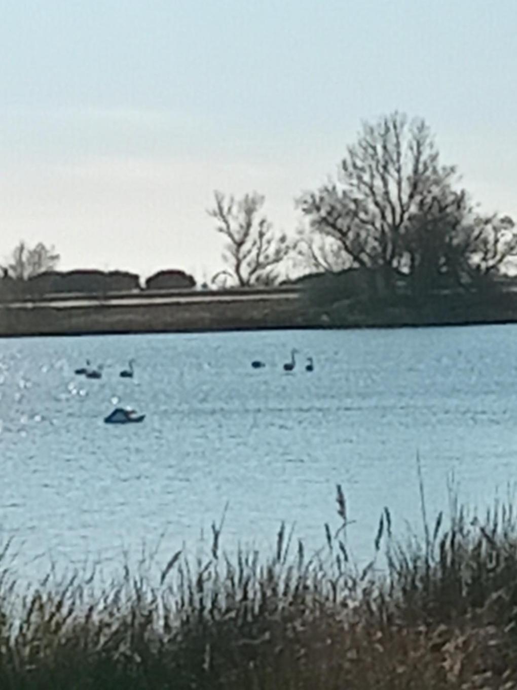 Aigues Mortes Studio De Vacances En Camargue Екстер'єр фото